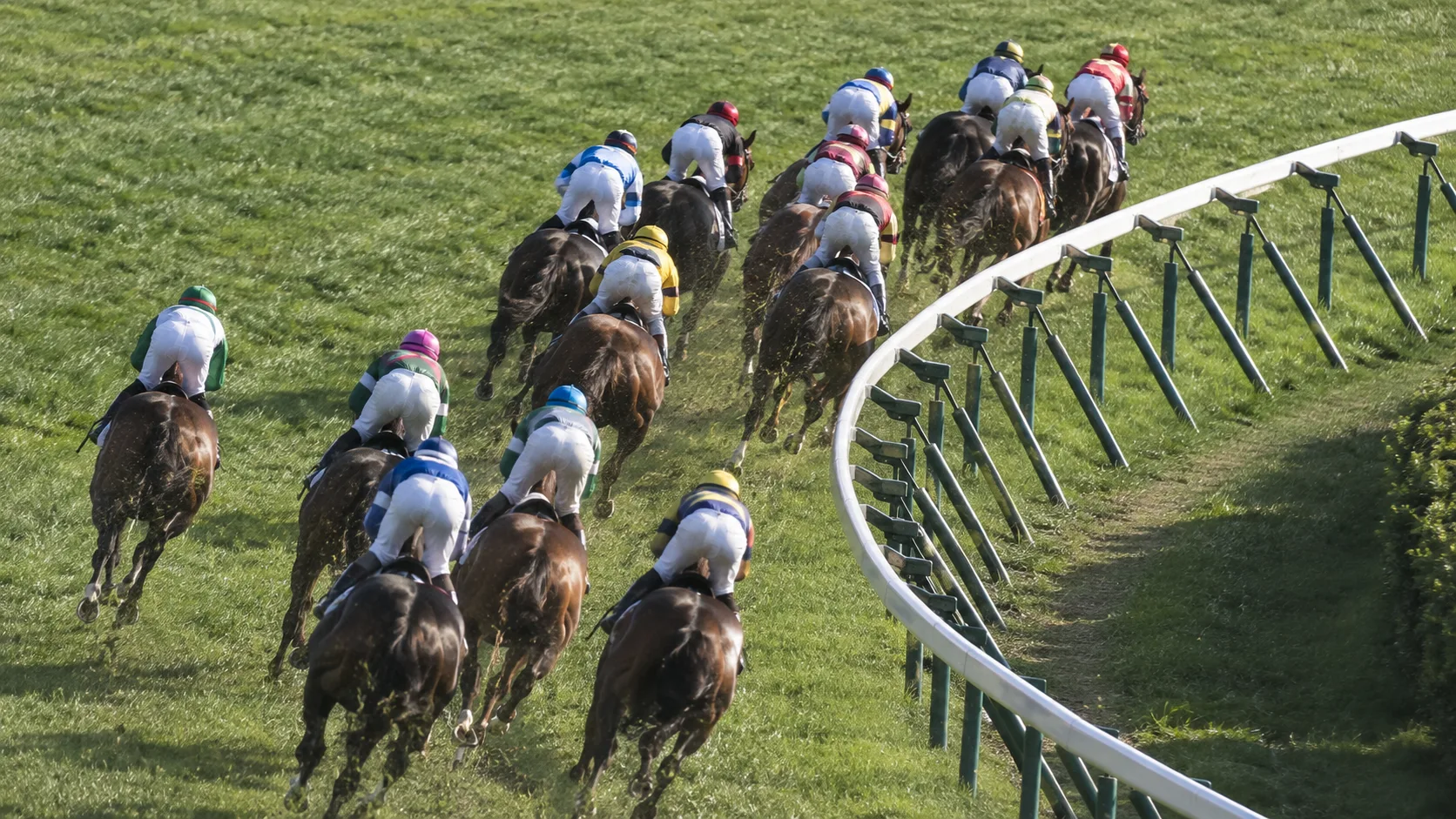 芝のコーナーで前の馬群へ外から近づく後続馬のイメージ