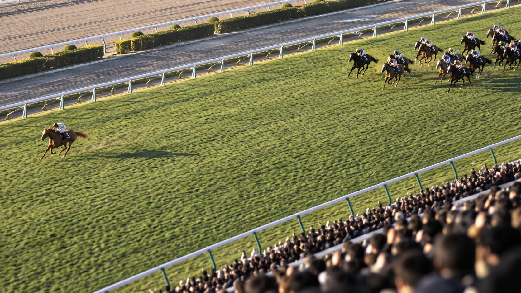 有馬記念のラストランで、後続を大きく引き離して走るオルフェーヴルのイメージ