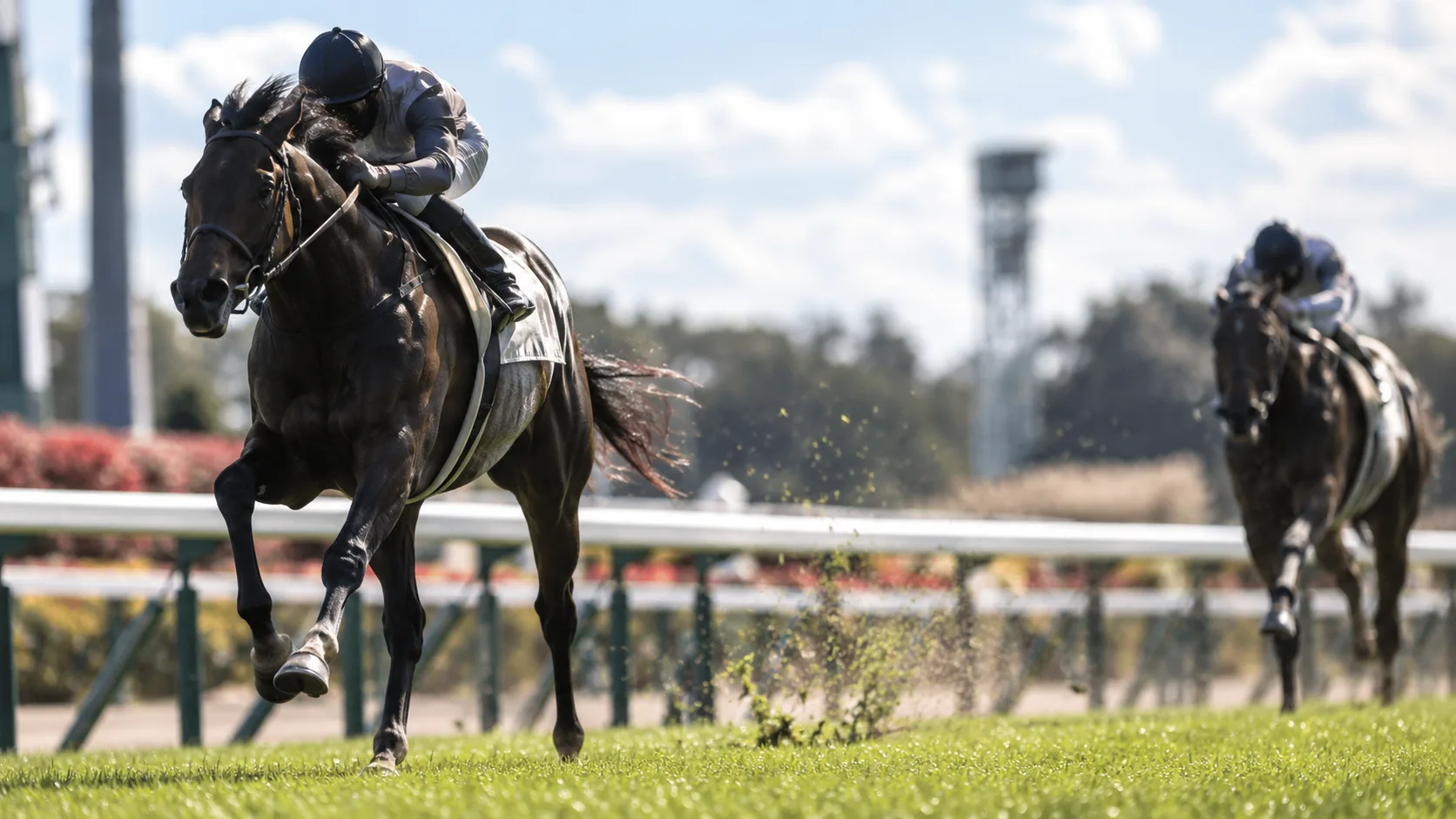 先頭馬が後続を離して走る、3馬身差の勝利を表したイメージ